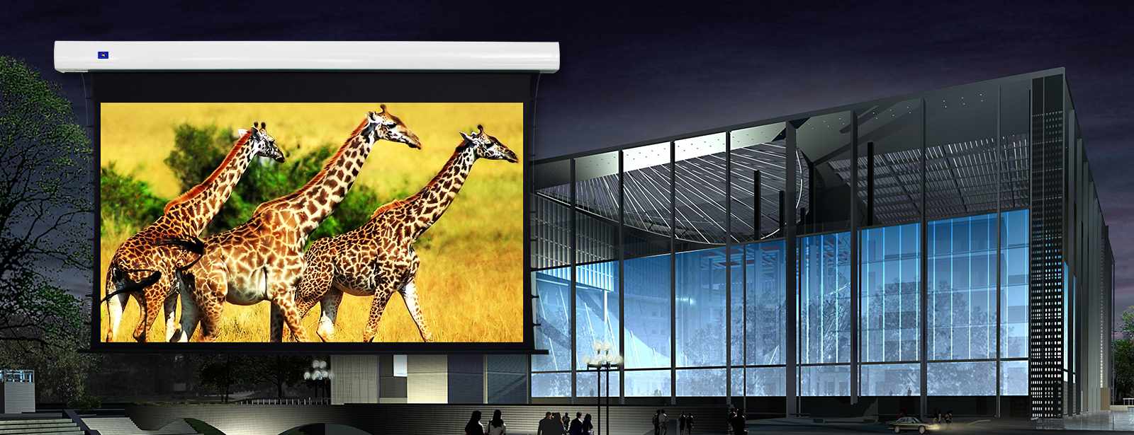 category-Motorized Screens And Projector Screen Supplier Company-XY Screens-img-1
